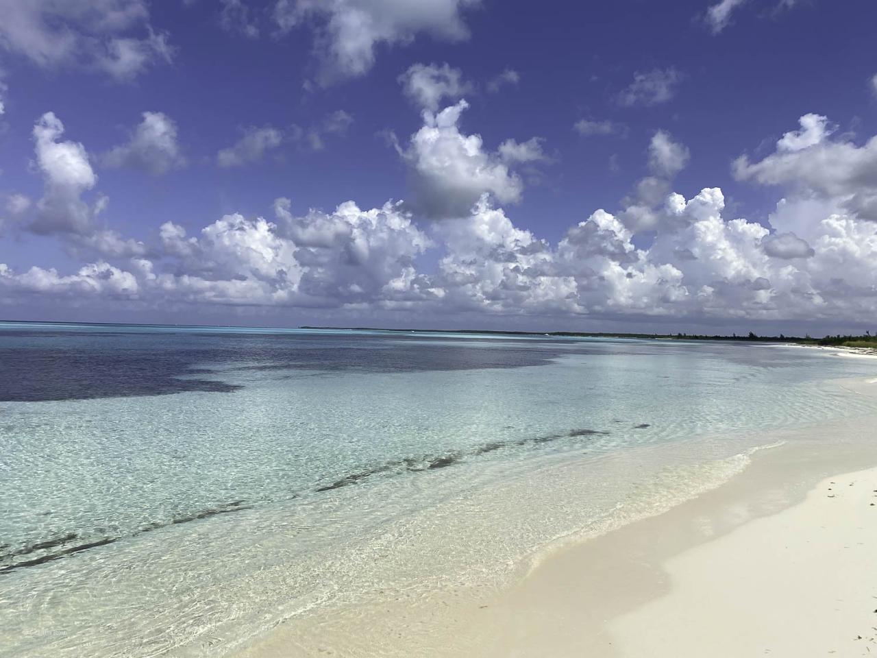 Wass Albert - Tenger az élet - Pitypangos - P. Gabriella képújsága