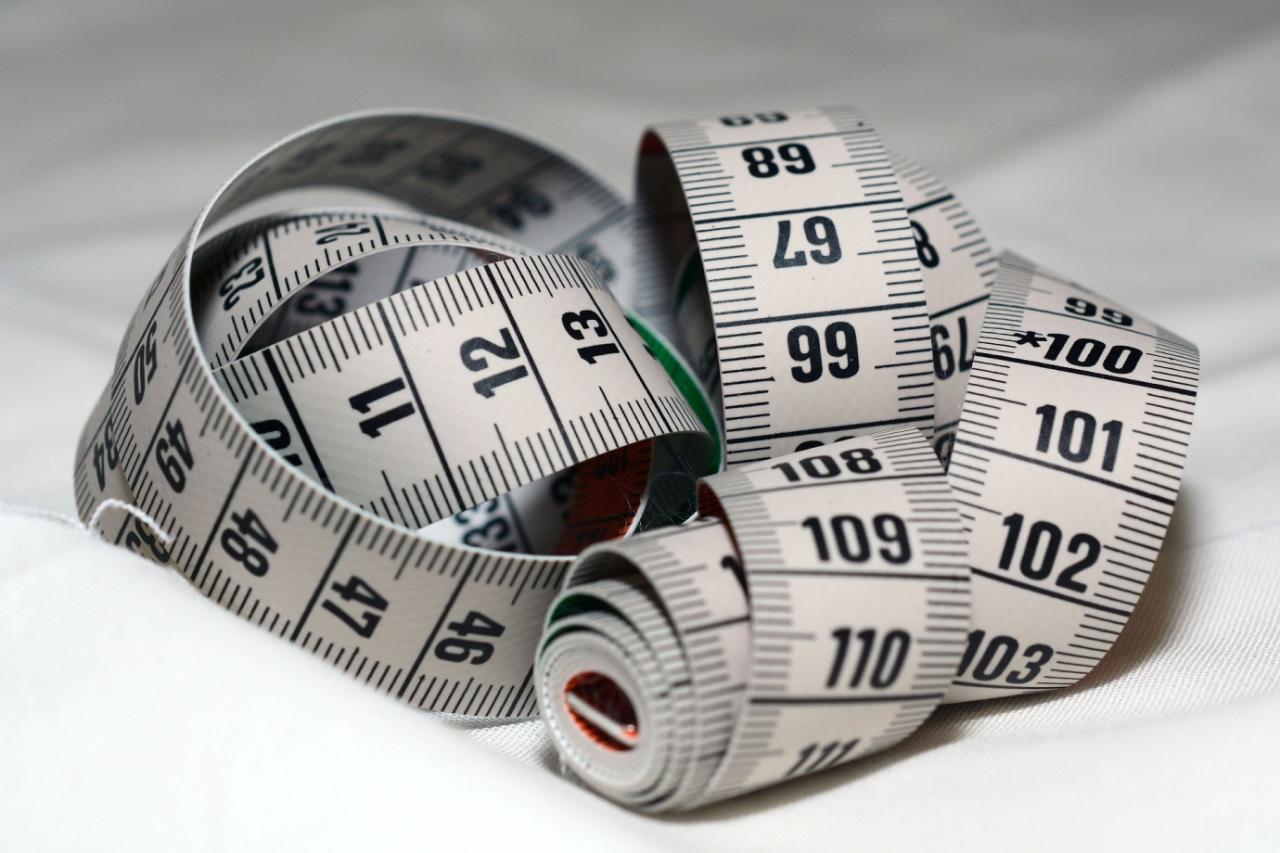 Measuring Up | Providence Montessori